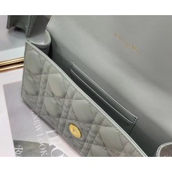 Dior Caro Belt Pouch With Chain In Grey Calfskin CDBS2147