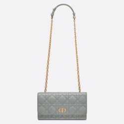 Dior Caro Belt Pouch With Chain In Grey Calfskin CDBS2147