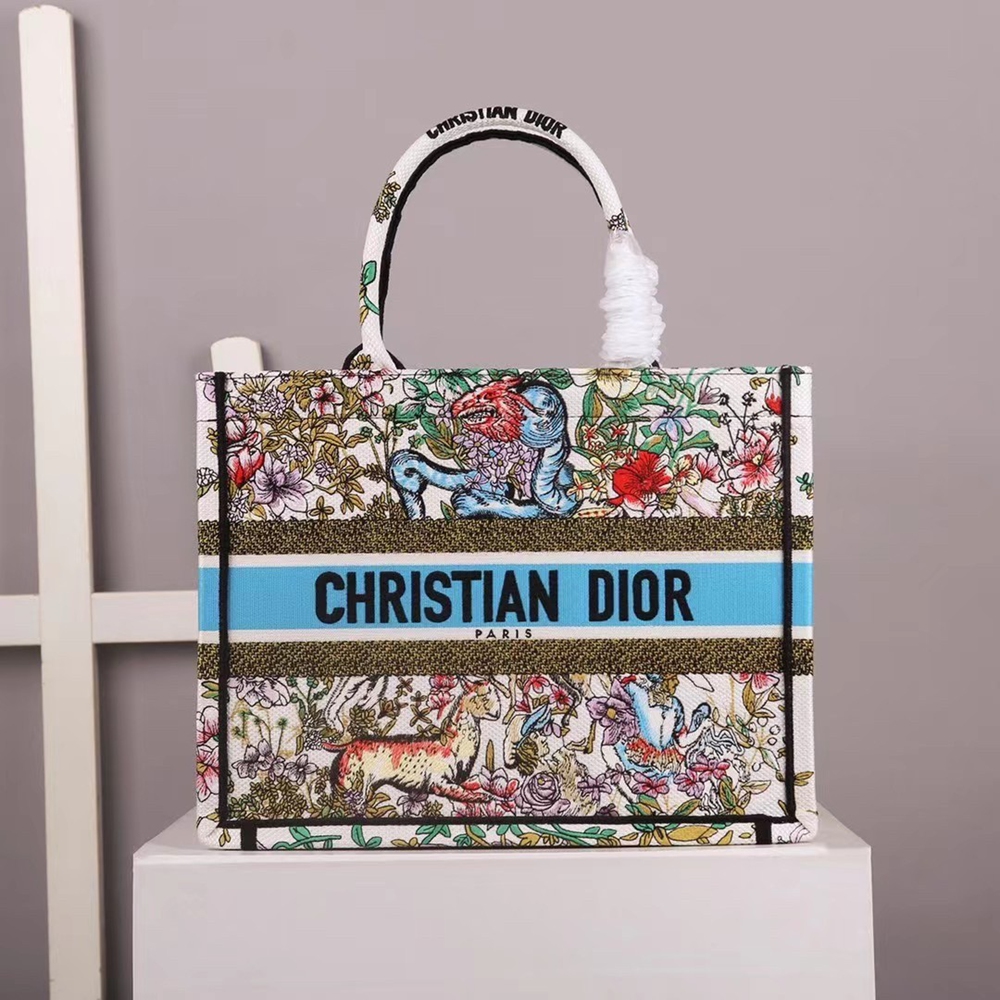 Dior Medium Book Tote In Latte D-Constellation Embroidery CDBS2479