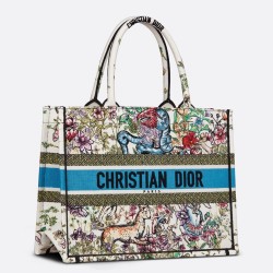 Dior Medium Book Tote In Latte D-Constellation Embroidery CDBS2479