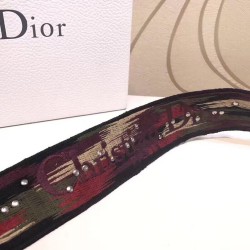 Dior Red Canvas Bohemian-inspired Strap CDBS2715