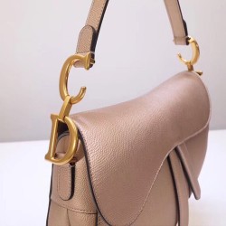 Dior Saddle Bag In Champagne Metallic Grained Calfskin CDBS2740