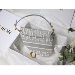 Dior Saddle Bag In Gray Dior Oblique Embroidery CDBS2747