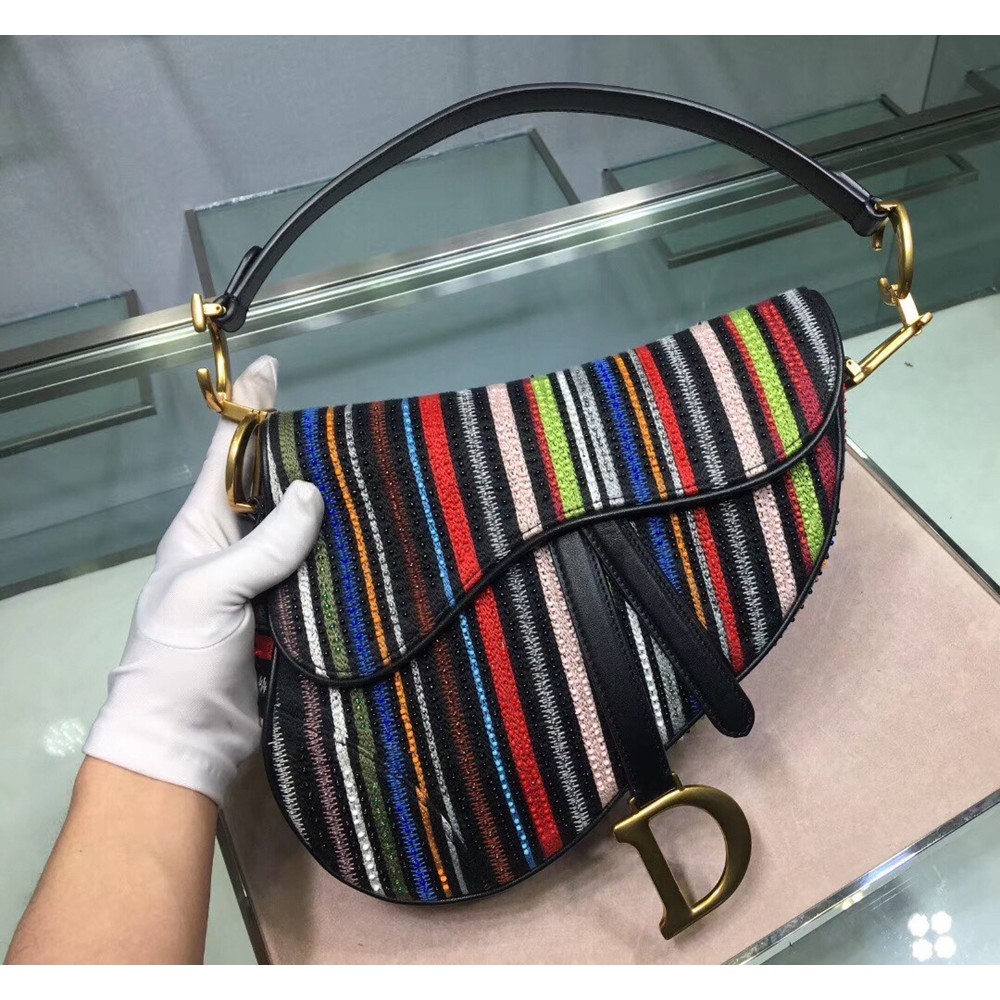 Dior Saddle Canvas Bag Embroidered With Multi-coloured Stripes CDBS2785