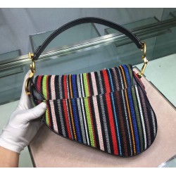 Dior Saddle Canvas Bag Embroidered With Multi-coloured Stripes CDBS2785