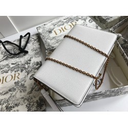 Dior Saddle Pouch In White Grained Calskin CDBS2794