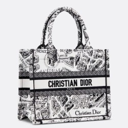 Dior Small Book Tote Bag In White Plan de Paris Embroidery CDBS2841