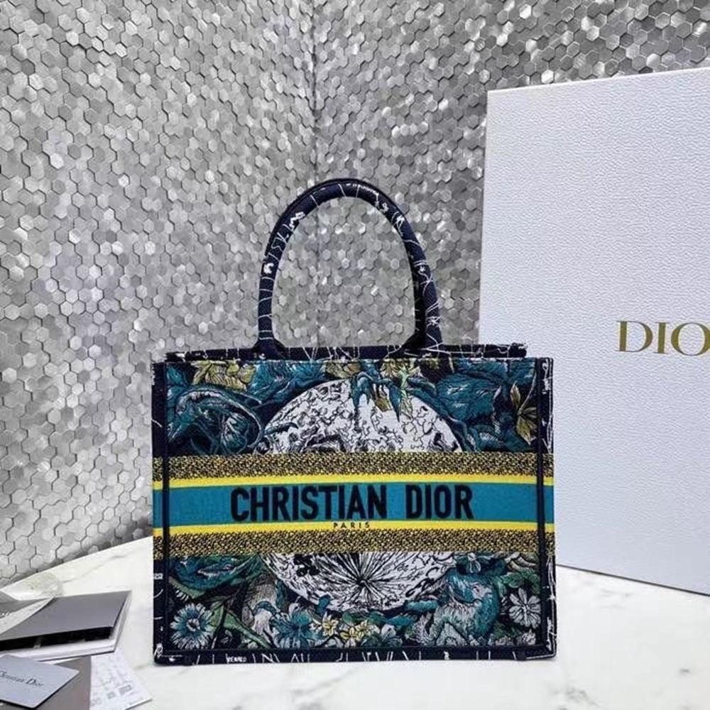 Dior Small Book Tote In Blue Dior Constellation Embroidery CDBS2855